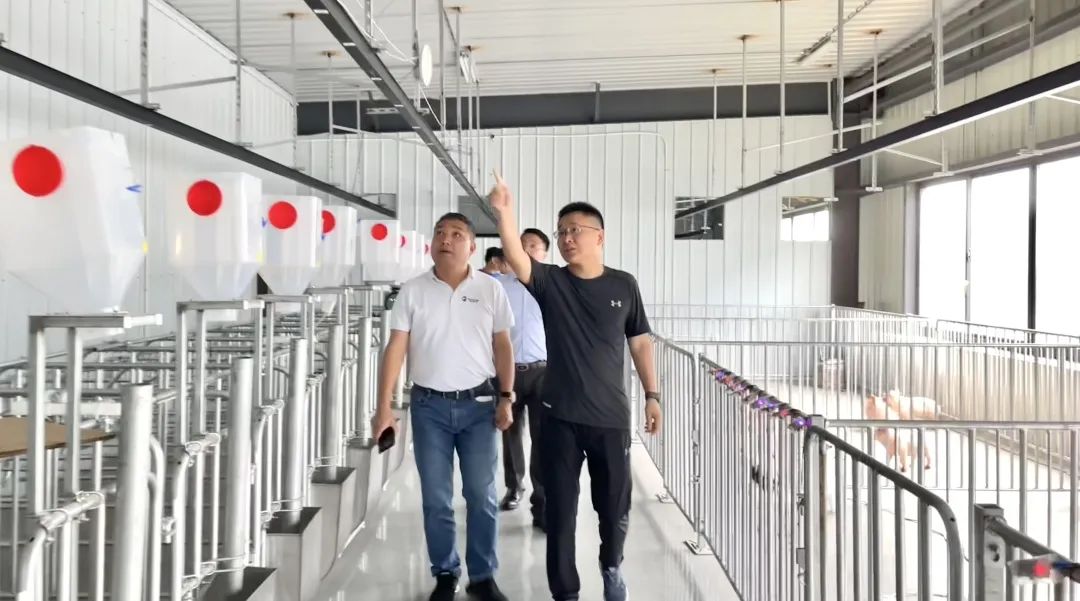 Jason介绍机器人如何与饲喂器配合实现智能饲喂